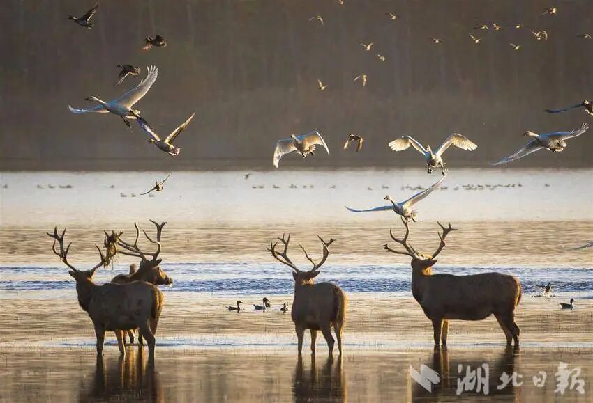 ??? ?????? ????? ?? ????? ??? ????? .. ????? ???? ????? ?????? ????? 