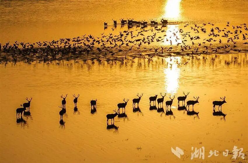 ??? ?????? ????? ?? ????? ??? ????? .. ????? ???? ????? ?????? ????? 