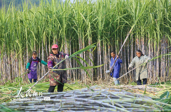 ????? ????? ??? ????? ???? ????? ????? ????? ?? ???????