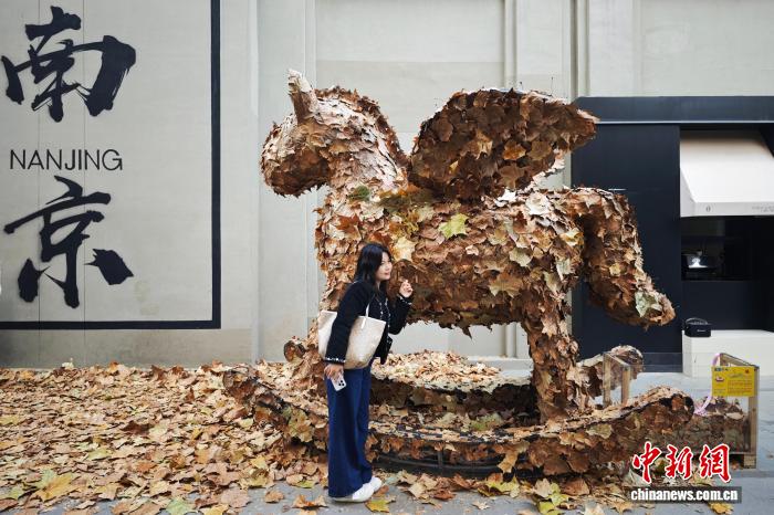 ????? ??? ?????? ????????? ?? ????? ??????? ???? ?????? ????? ?????????