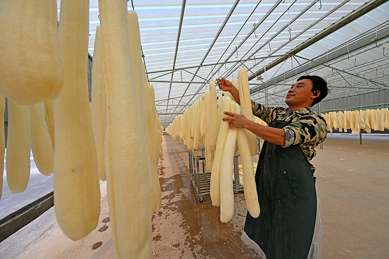 ?????? ???? ????? ???? ????? ???? ?? ???????