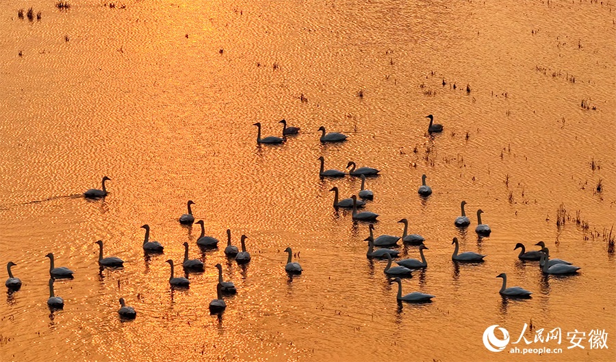 ???? ????? ?? ??? ??????? ????? ???? ?????? ?????? ??????