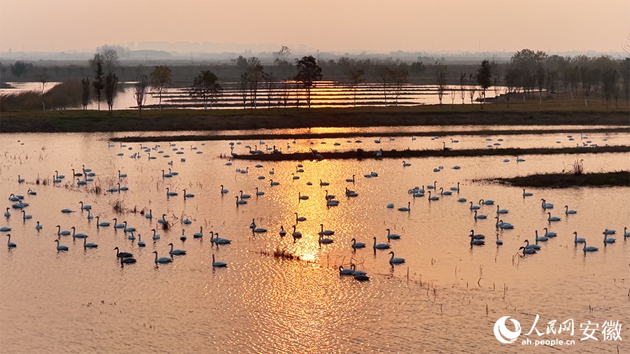 ???? ????? ?? ??? ??????? ????? ???? ?????? ?????? ??????