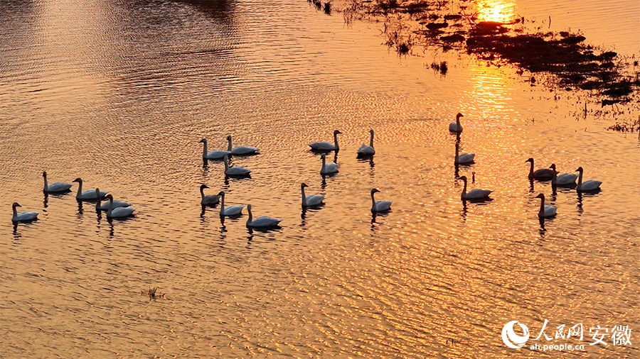 ???? ????? ?? ??? ??????? ????? ???? ?????? ?????? ??????