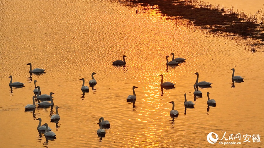 ???? ????? ?? ??? ??????? ????? ???? ?????? ?????? ??????