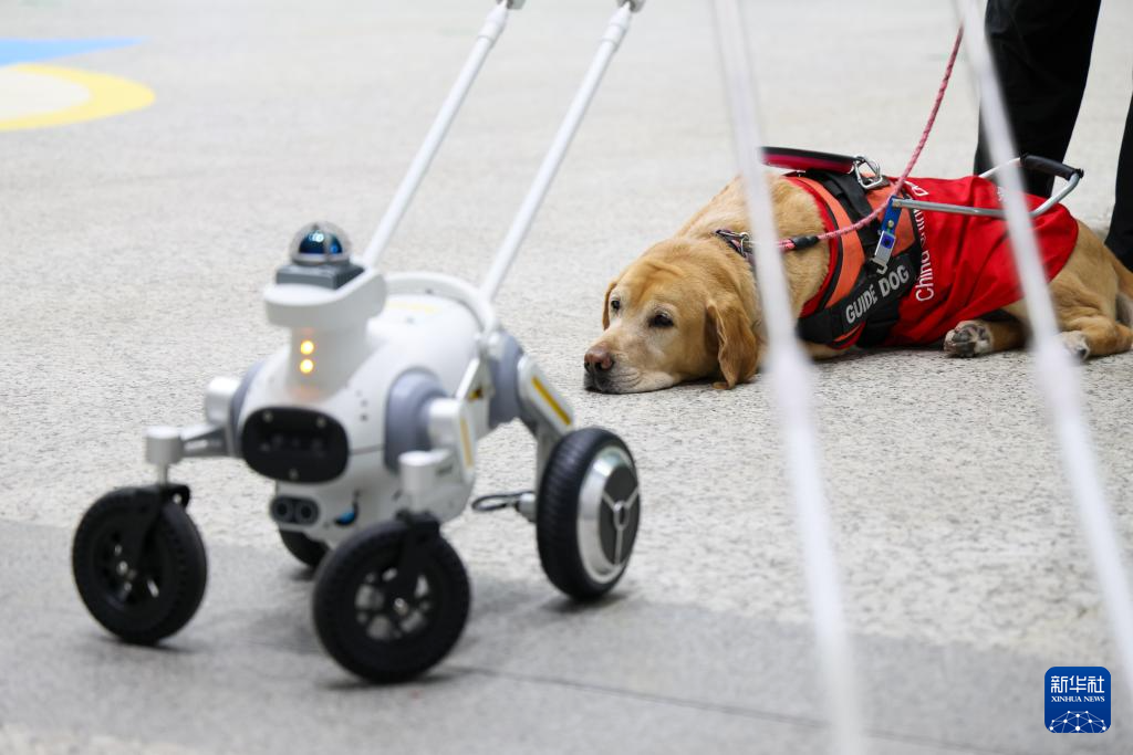 ???? ????? ?????? ???? ?????? ??????? ?????? ?????????