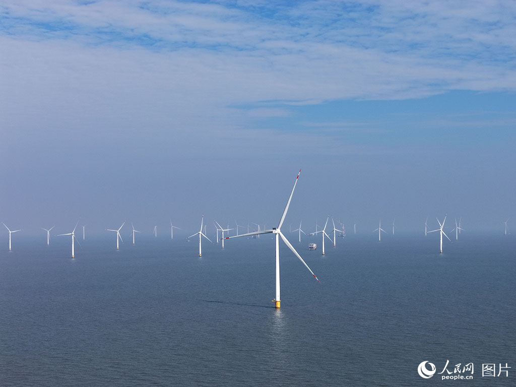 ????? ???? ???? ????? ????? ?????? ??????? ????? ????????