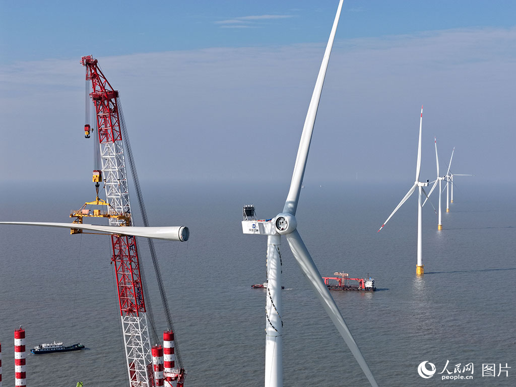 ????? ???? ???? ????? ????? ?????? ??????? ????? ????????