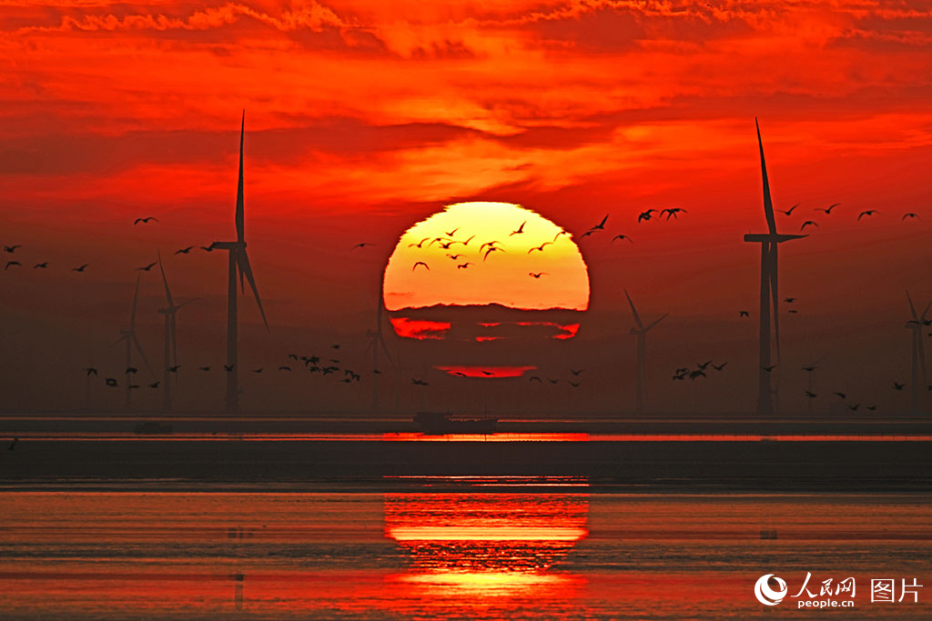 ????? ???? ???? ????? ????? ?????? ??????? ????? ????????