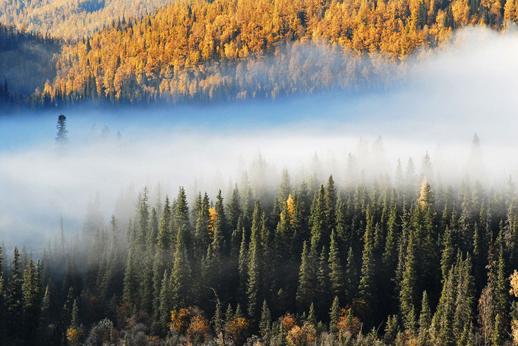 ???? ???? ??? ???? ????? ?????: ???? ???? ????? ?? ?????