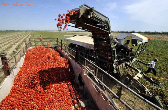 ????? ???? ?????? ?????? ??????????? ???????