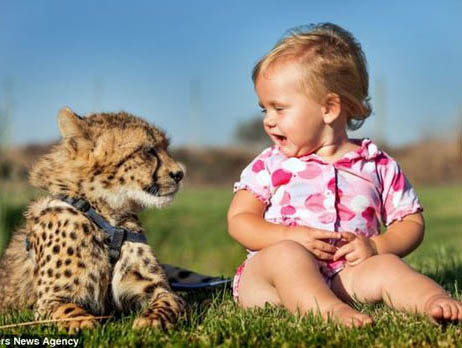 ????? ?????? ?? ??? ????? ?? ???? ???????