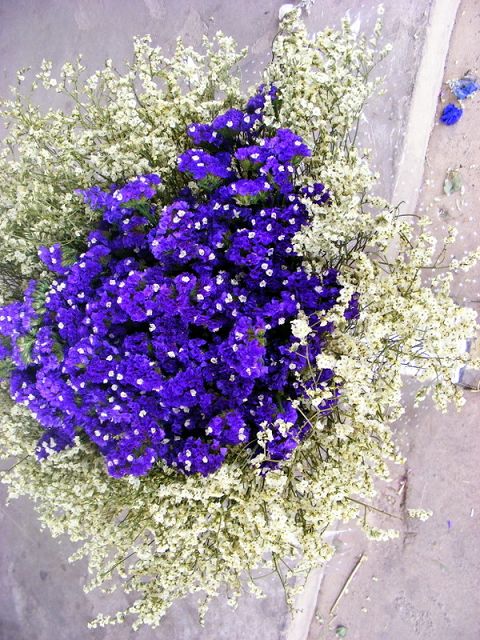 ?????? ???????  ?? ?????? 