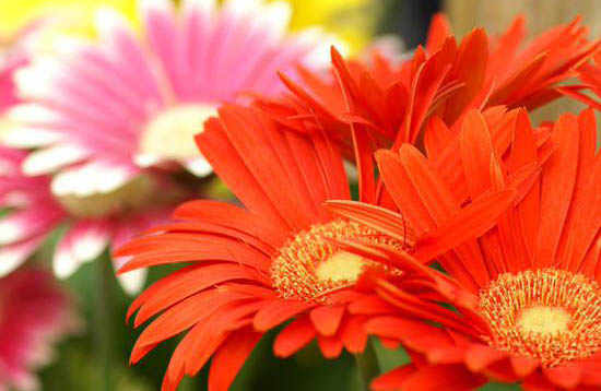 ?????? ??????? ?? ??????? 