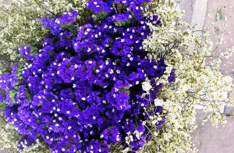 ?????? ??????? ?? ?????? 