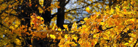 ???? ?? ??? (?????? ?????) ????????? ??????? ?????? 