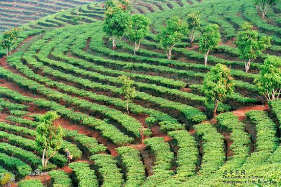 ?? ?????? ???????? ?? ?????? (2) ??????????????????????????????? 