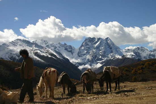 ?? ?????? ????????(5) ????????????? ????????????? ????????? ???????????? ???????? 