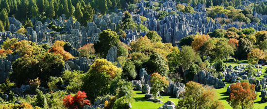 ?? ?????? ????????(7) ???? ???????? ???????? ???????? ??????? ????????? 