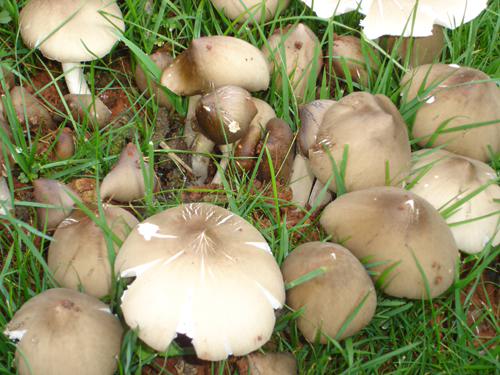 ??????? ?????? ?? ??????: ??? ??????? ??????????